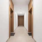 Lotniczowka By Renters Prestige *